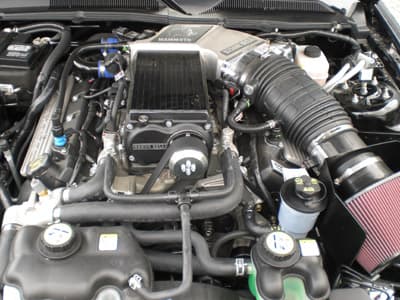 IMV800 Cervinis Mustang side view